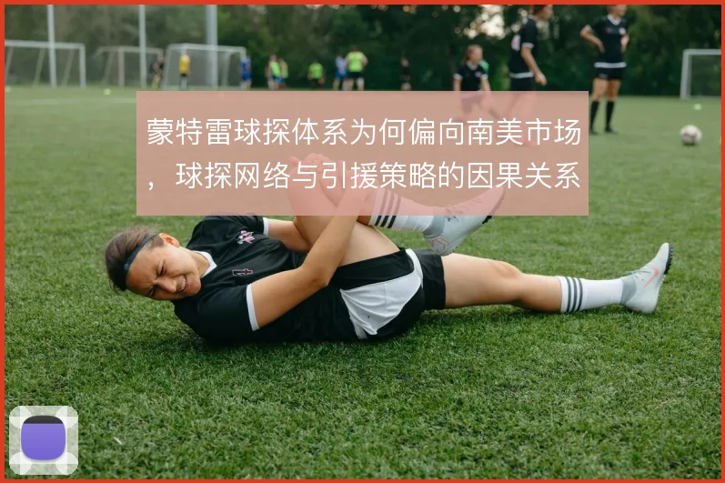 蒙特雷球探体系为何偏向南美市场，球探网络与引援策略的因果关系