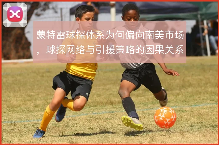 蒙特雷球探体系为何偏向南美市场,球探网络与引援策略的因果关系